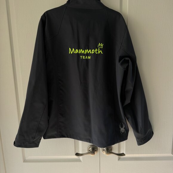 Spyder Mammoth Ski Team Jacket - Picture 1 of 9